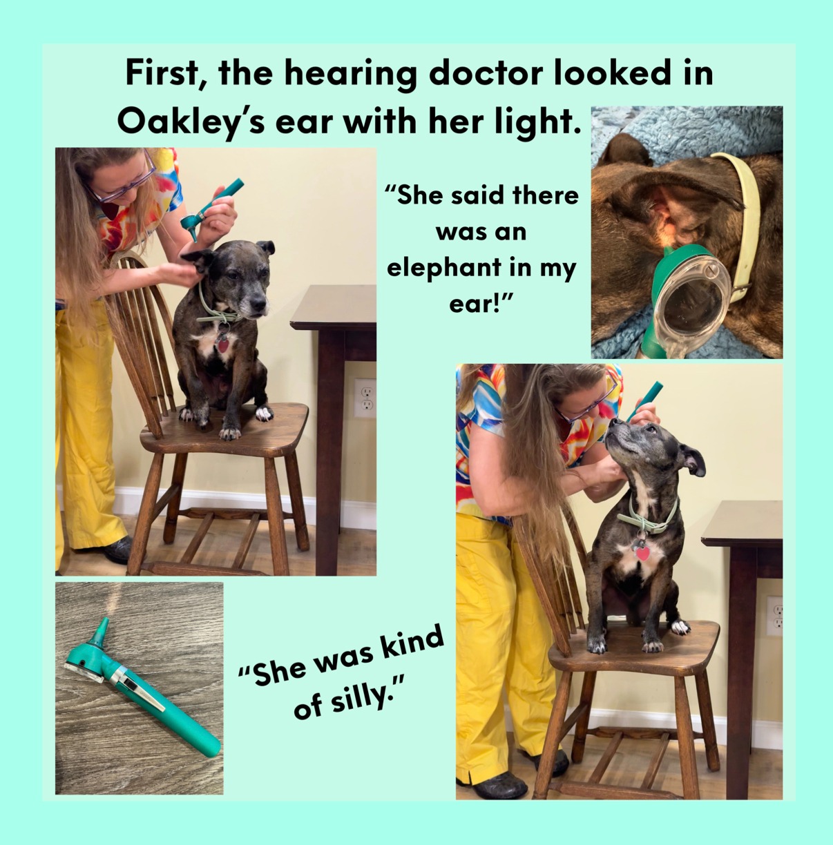 Book page: the audiologist examines Oakley's ears