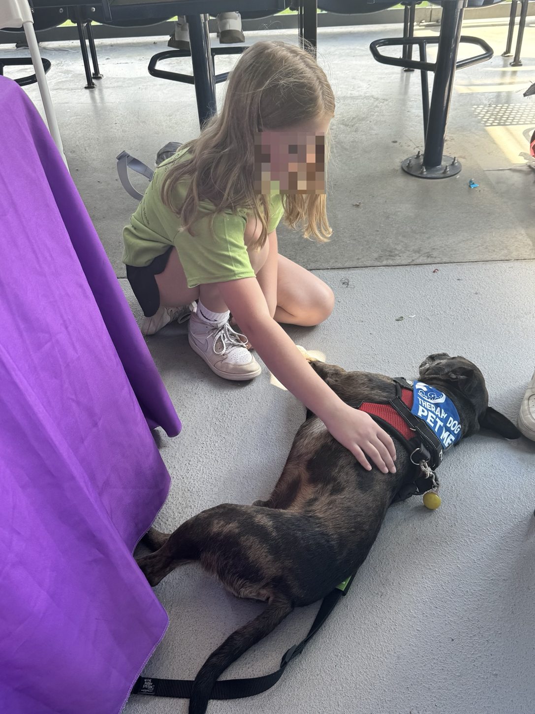 Oakley relaxing while a child with an obscured face pets him