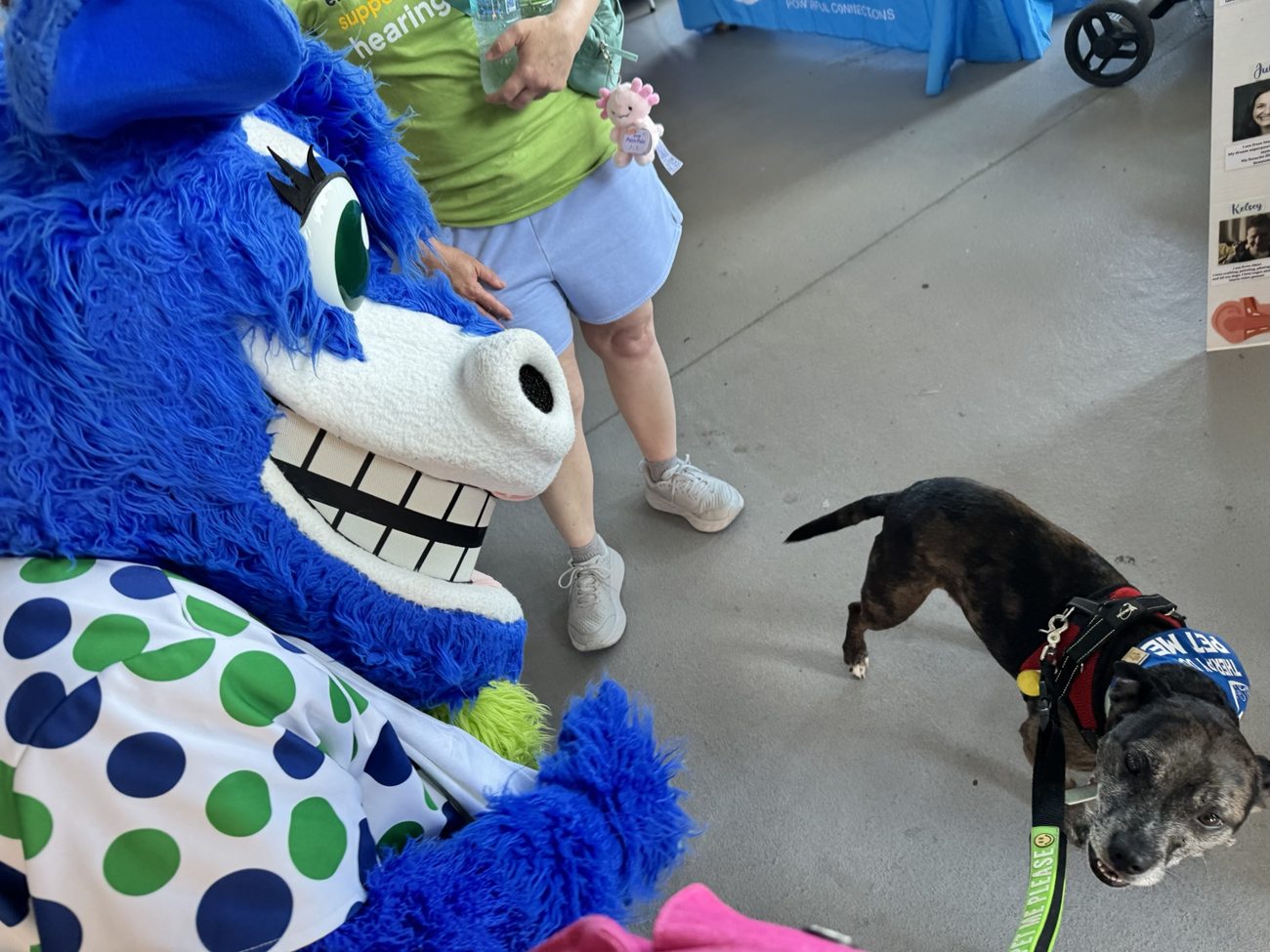 Oakley meeting a blue mascot