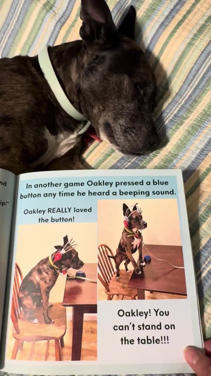 Oakley beside an open page of his children’s book